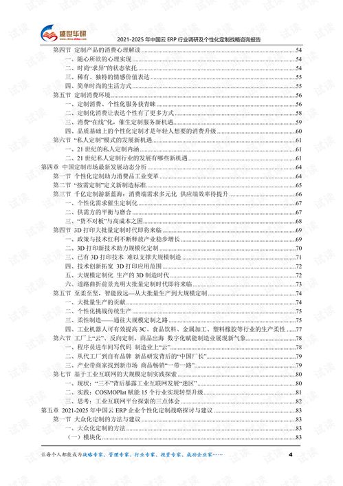 2021 2025年中国云erp行业调研及个性化定制战略咨询报告.pdf